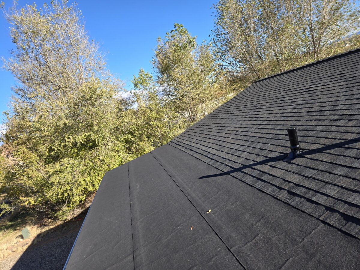 20241112 151939 1200x900