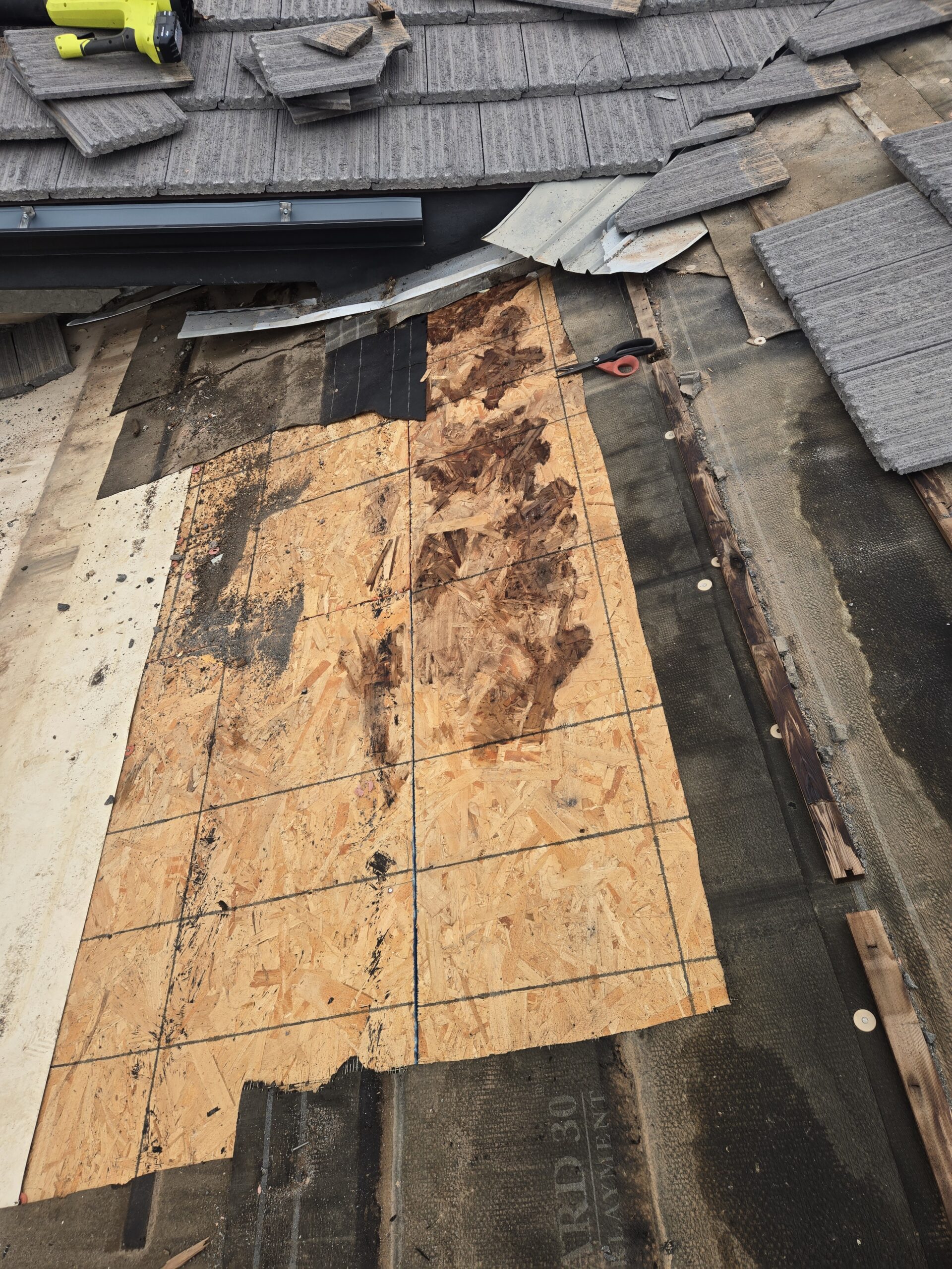 20260103 092056 Scaled