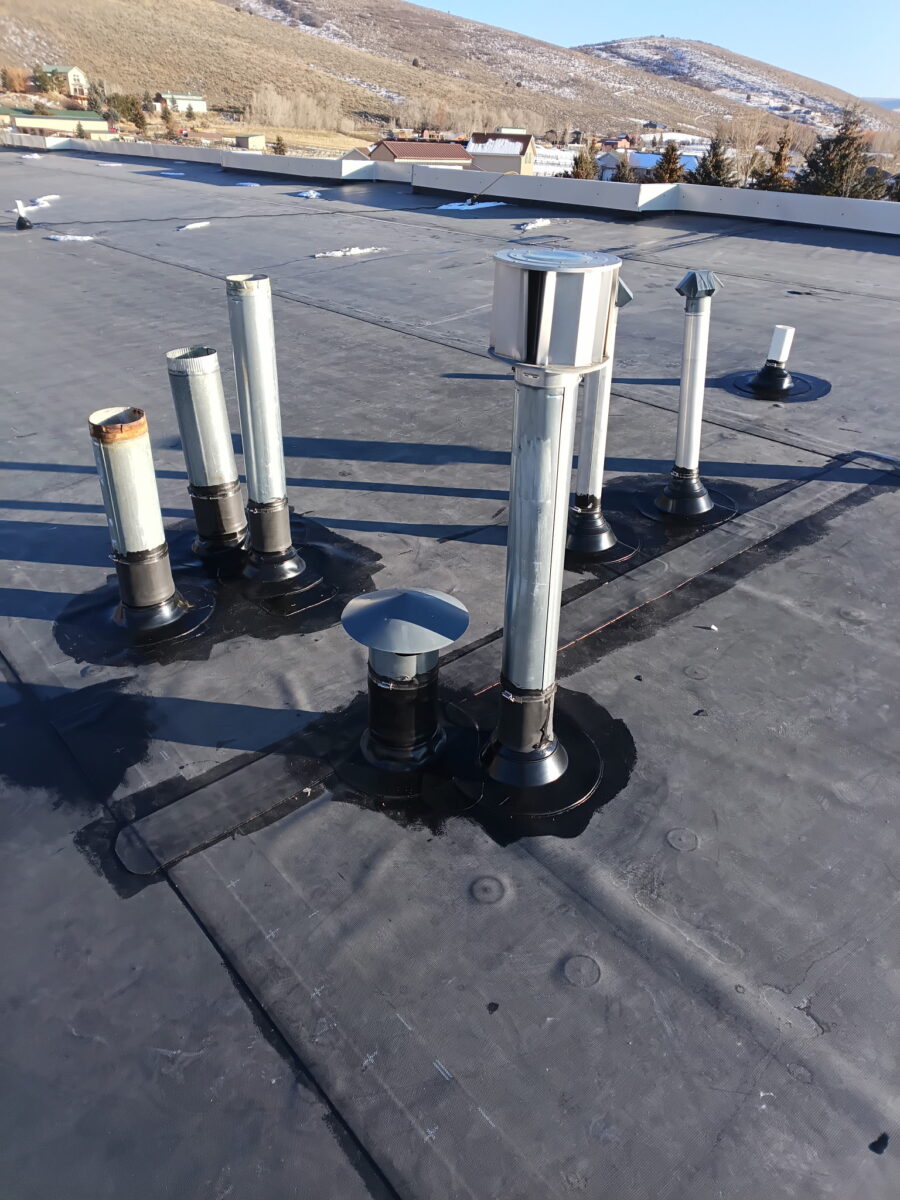 IMG 20260124 175708 900x1200